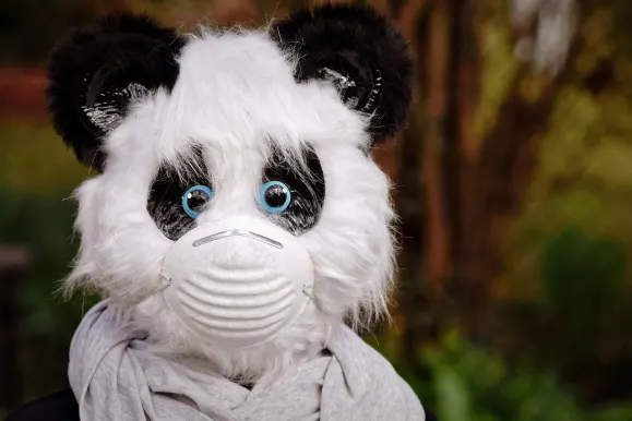 Bitcoza Casino Assistance